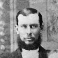 Henry Herbst (1855 - 1922) Profile